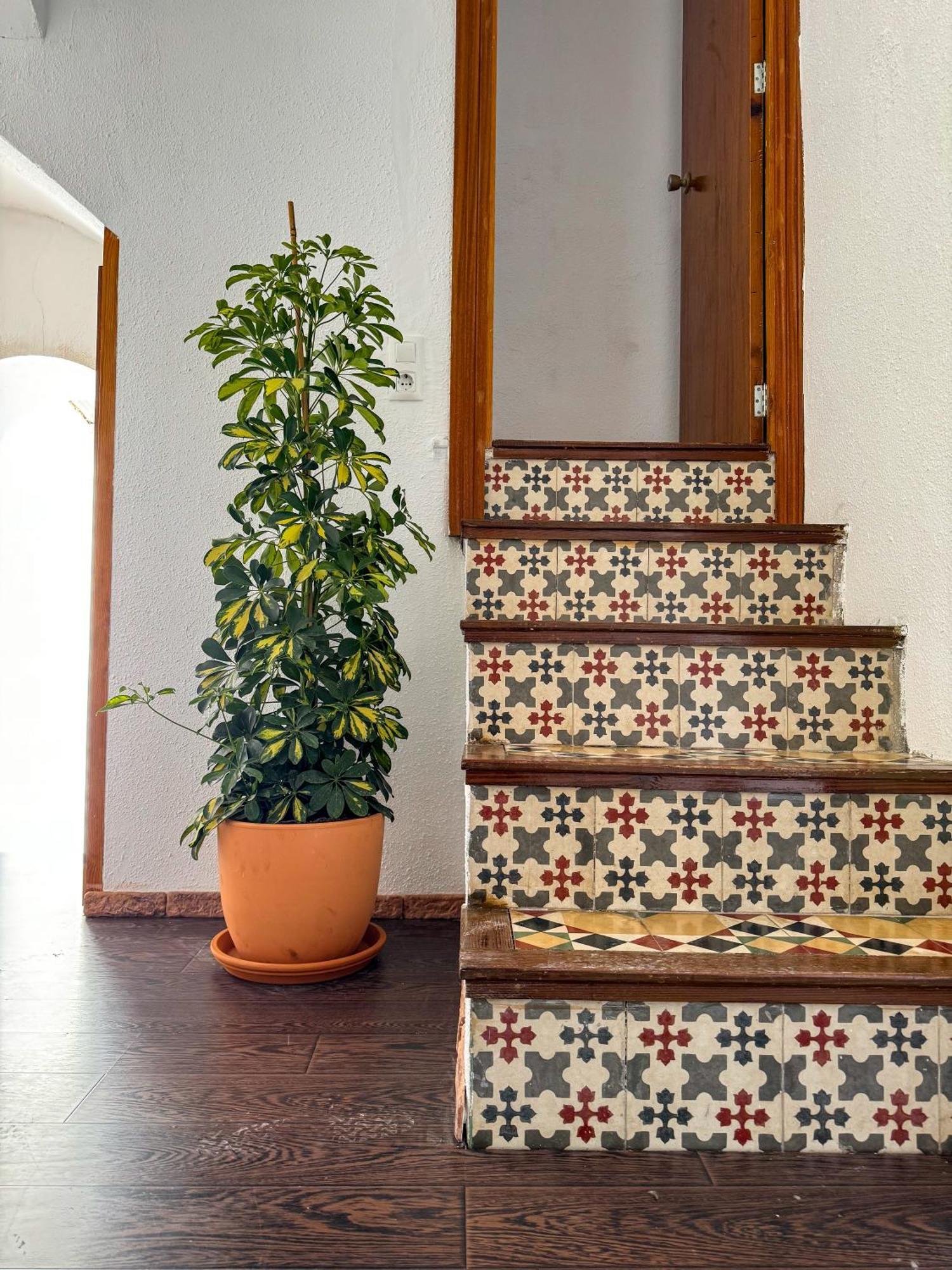 Casa de vacances Casa Naranja